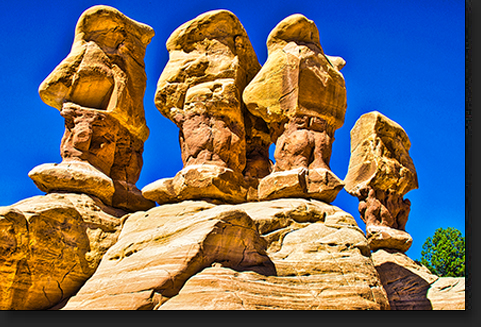 Hoodoo Noses