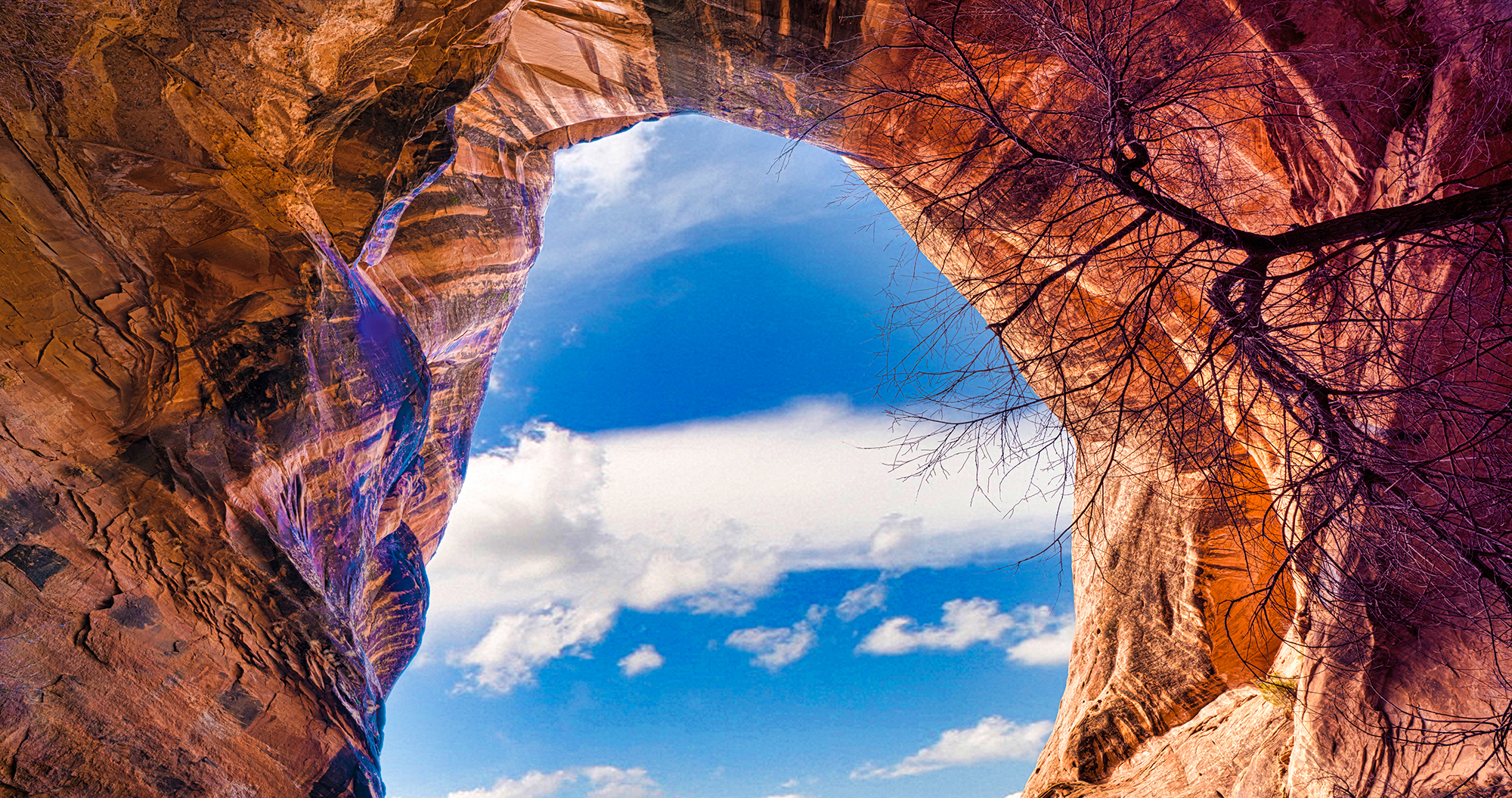 Morning Glory Side Canyon by Skip Weeks