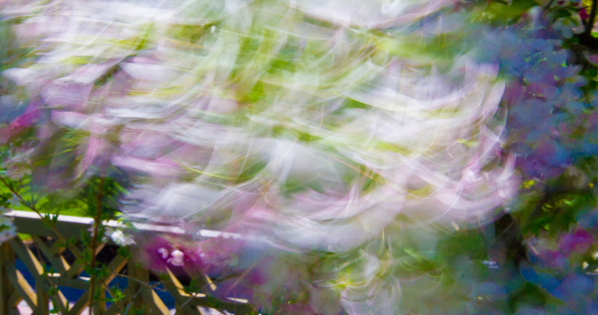 Spring Blossoms by Skip Weeks