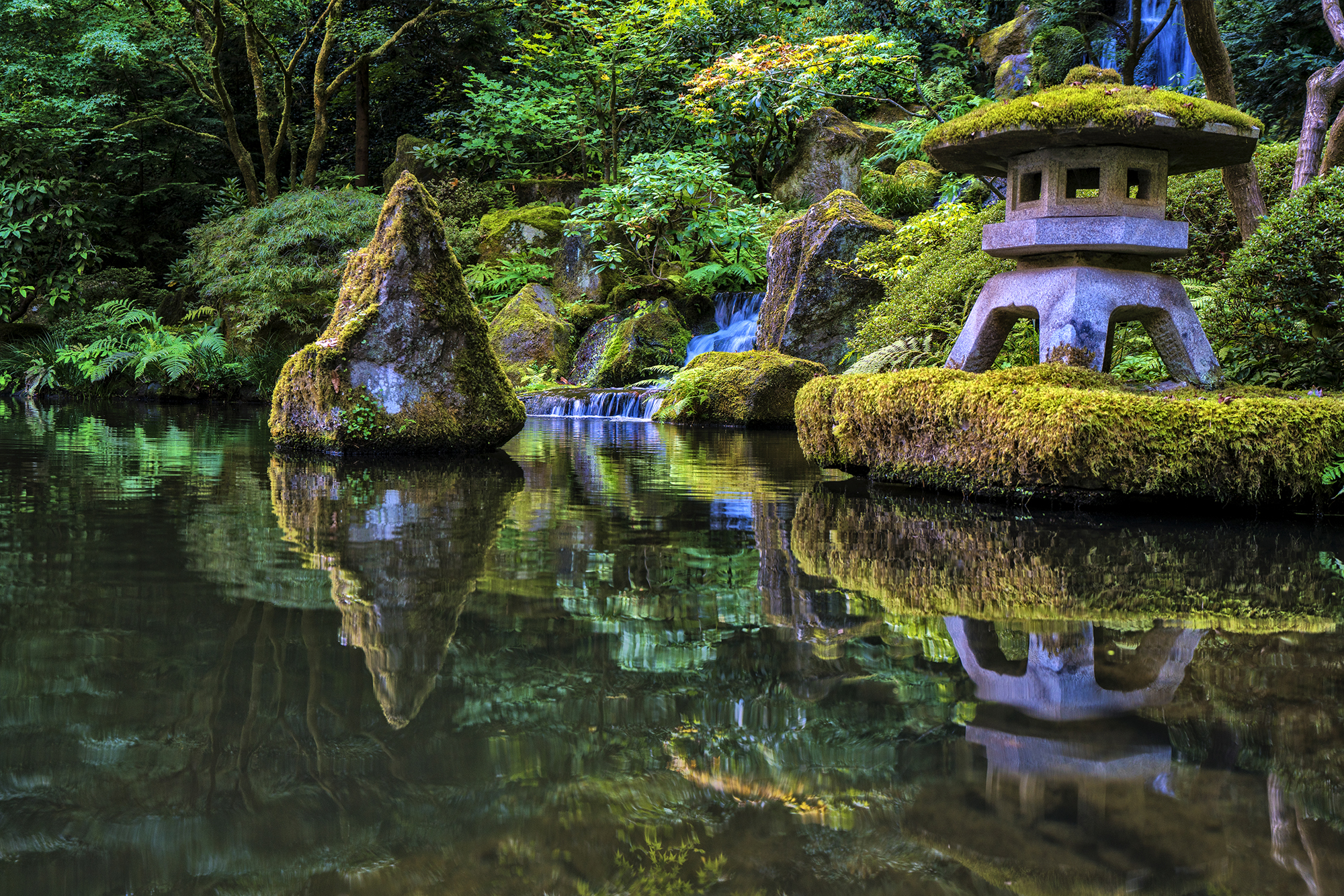 Japanese Koi Pond