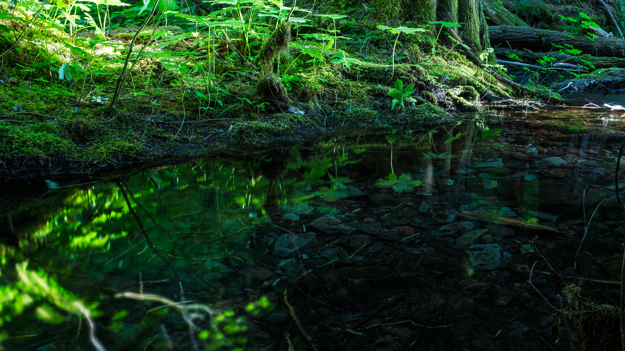 Hidden Pool