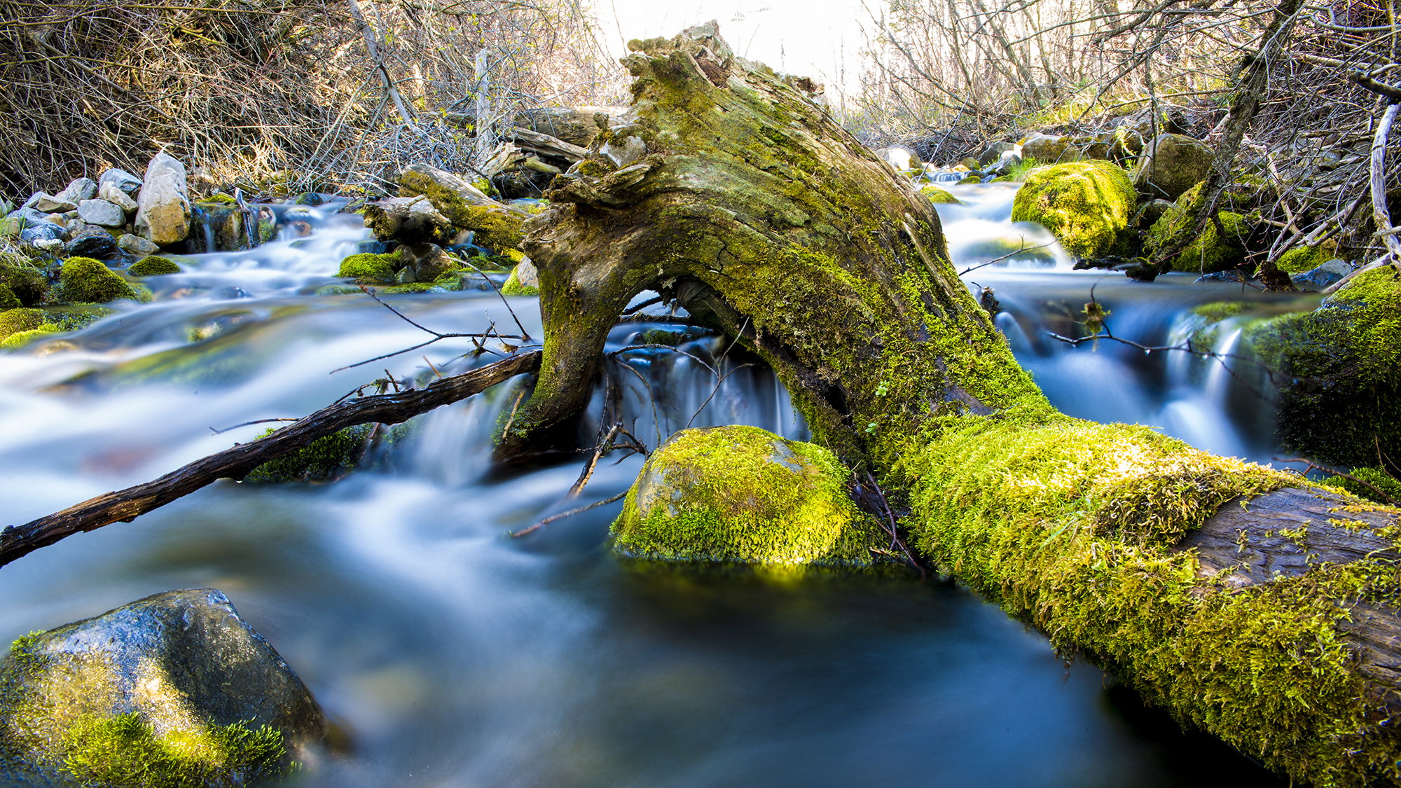 Mossy Stream