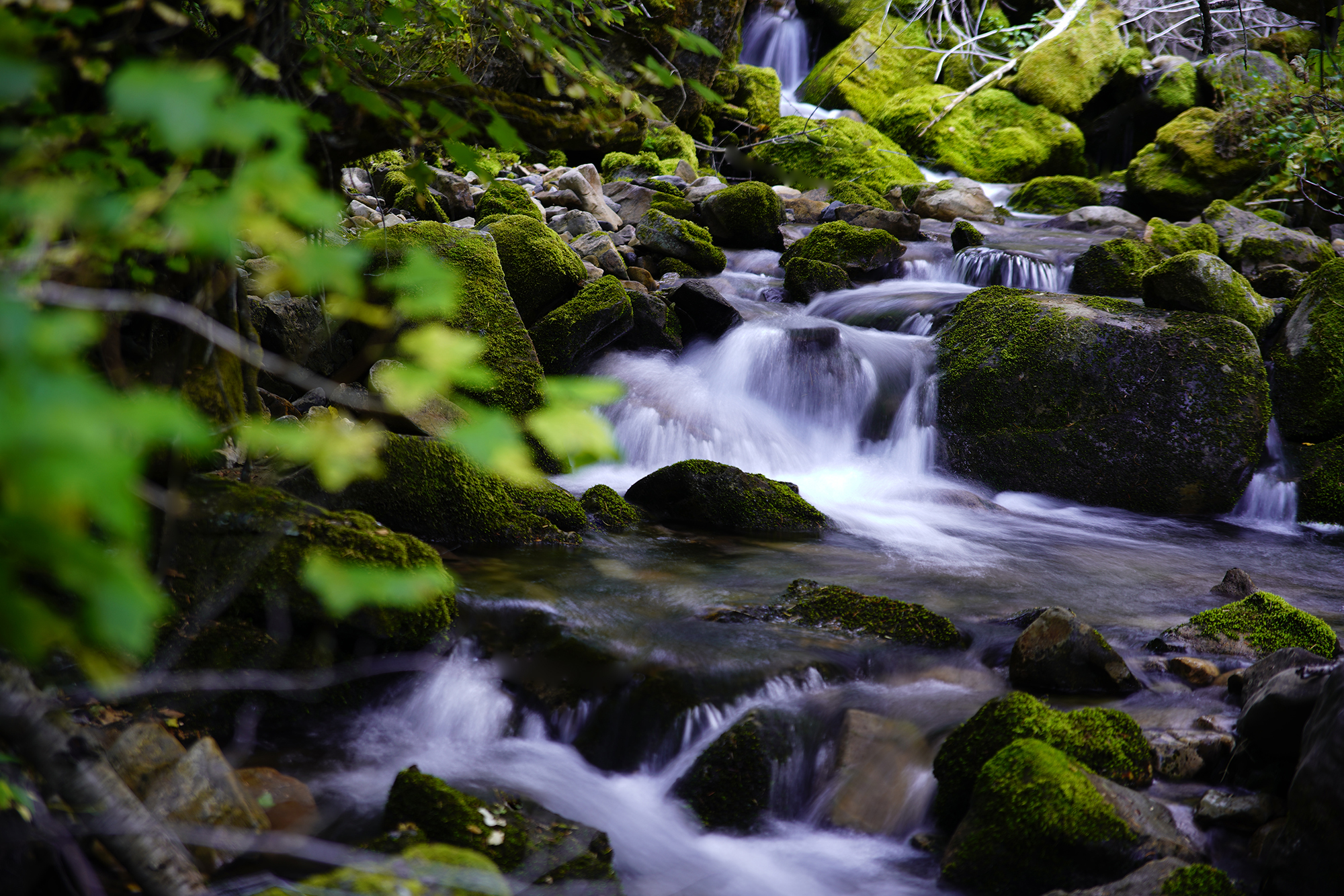 Alpine Stream