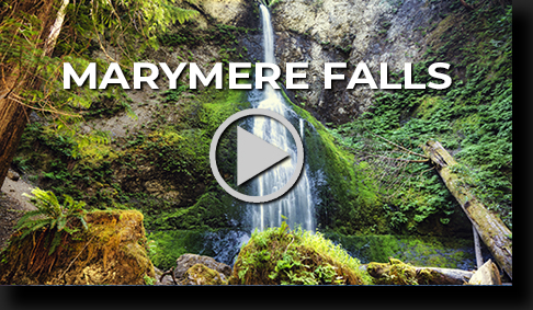 Marymere Falls by Skip Weeks