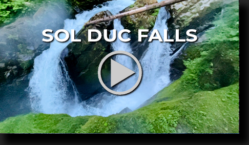 Sol Duc Falls by Skip Weeks
