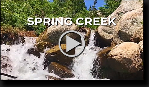 Spring Creek by Skip Weeks