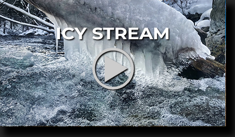 Icy Stream by Skip Weeks