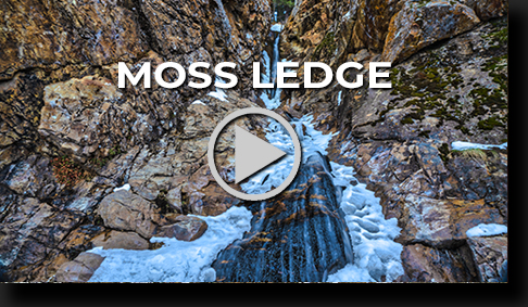 Mossy Ledge Waterfall by Skip Weeks