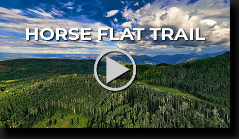 Horse Flat Hike by Skip Weeks