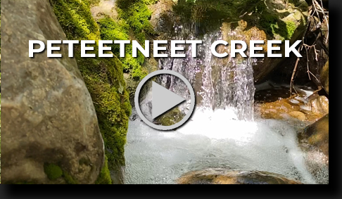 Peteetneet Creek by Skip Weeks