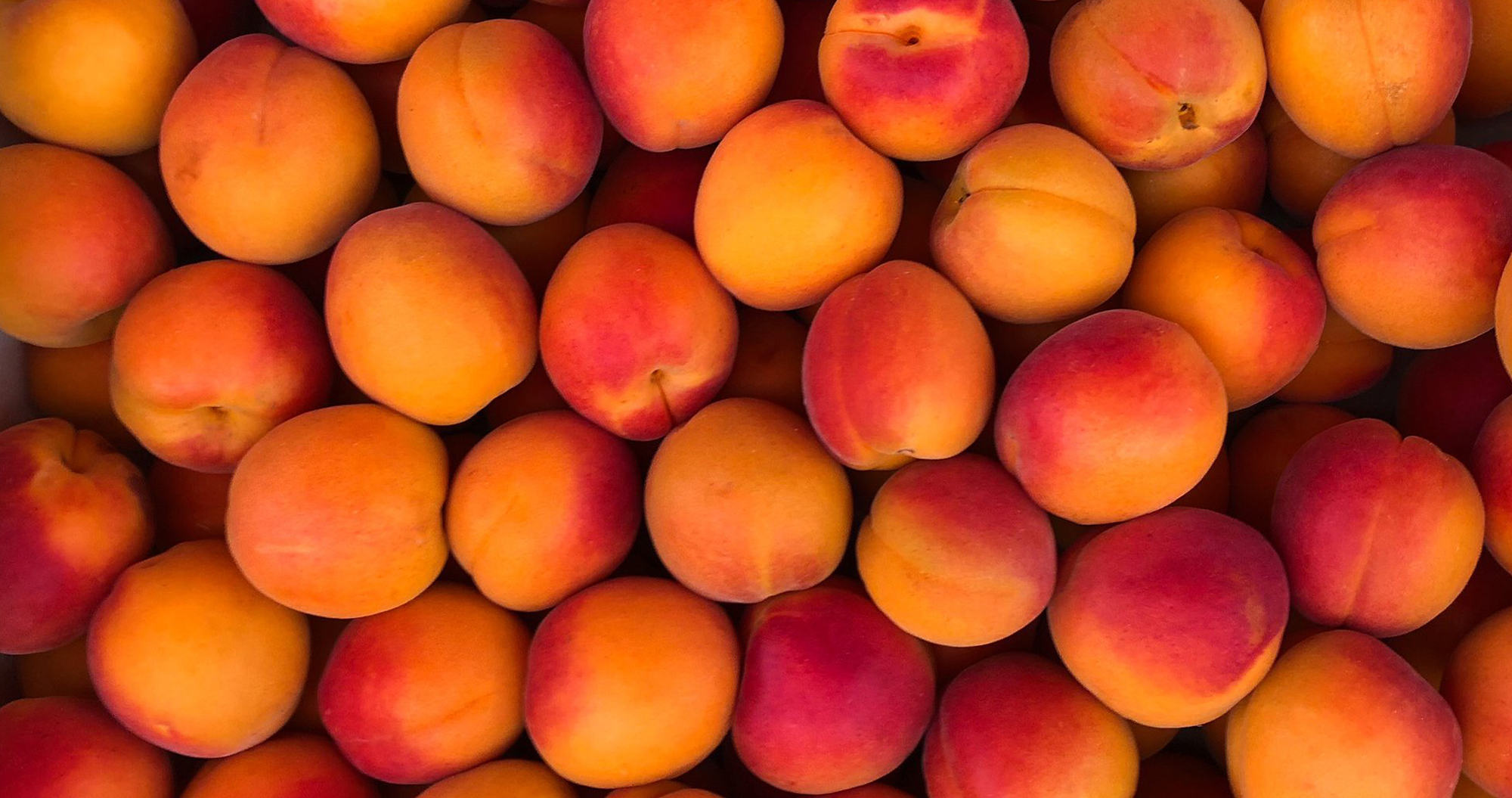 Apricots in Paris by Skip Weeks