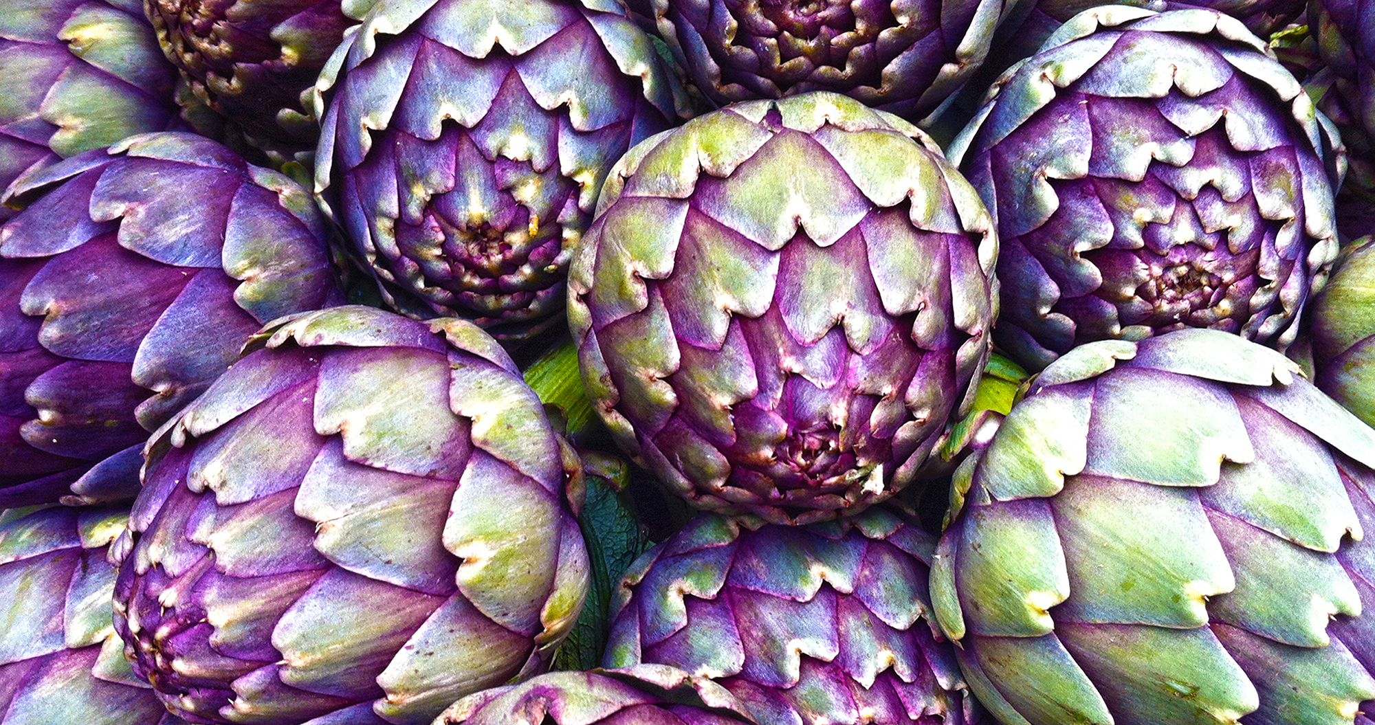 Artichokes at the Farmer's Market in Portland Oregon by Skip Weeks