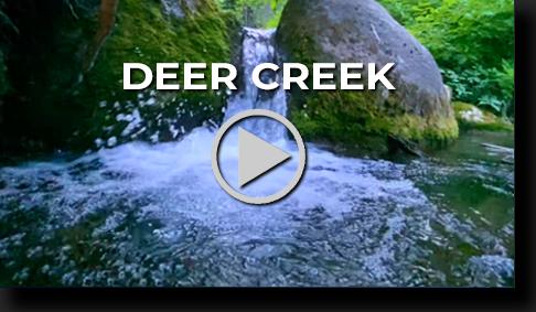 Deer Creek by Skip Weeks
