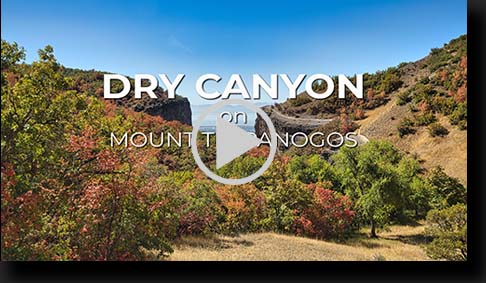 Dry Canyon by Skip Weeks