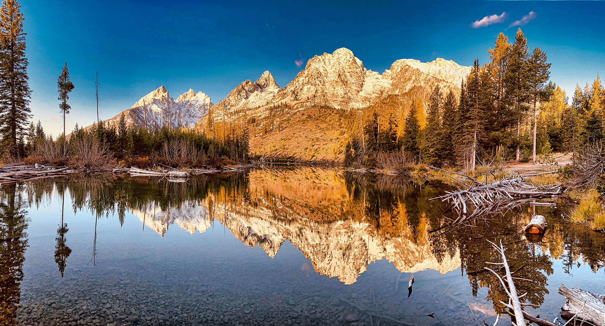 Jenny Reflections by Skip Weeks
