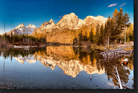 Jenny Lake Reflection