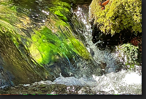 Mossy Sundance Stream