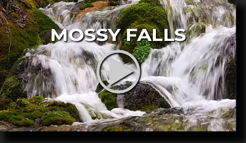 Mossy Falls by Skip Weeks