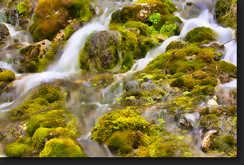 Mossy Falls