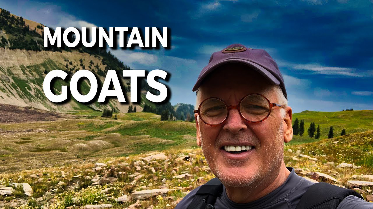 Mountain Goats on Timpanogos by Skip Weeks