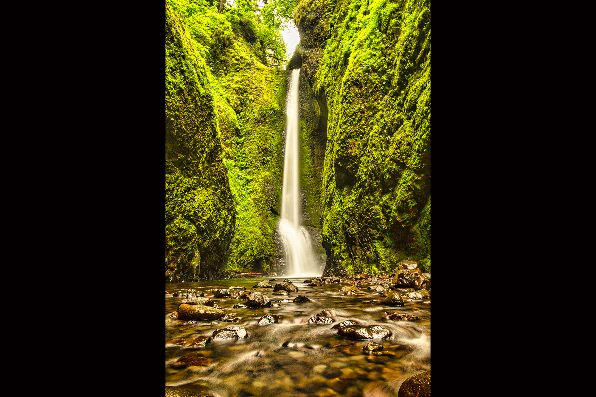 Oneonta Gorge Falls by Skip Weeks