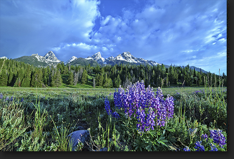 Grand Tetons