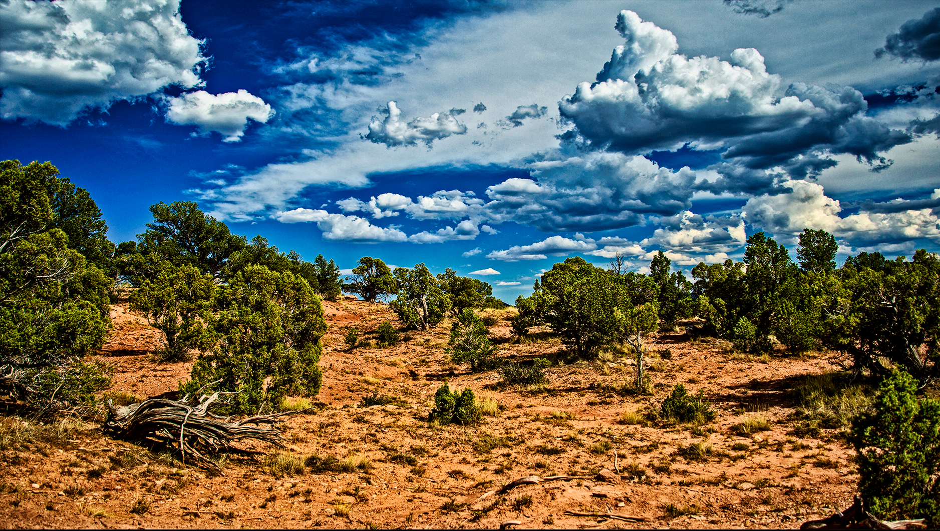Wild Wild West by Skip Weeks