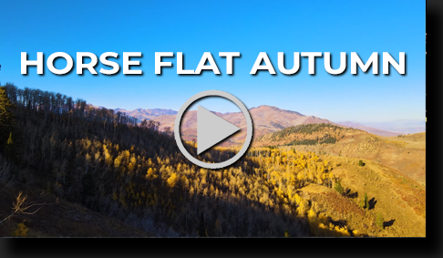 Horse Flat Trail in Autumn by Skip Weeks