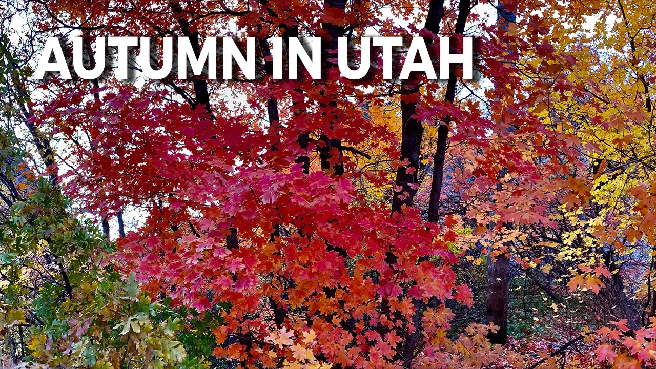 Autumn In Utah by Skip Weeks