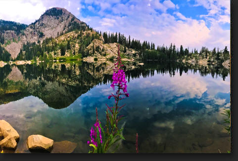 Lake Mary