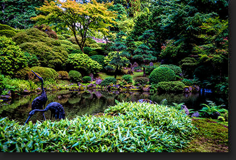 Japanese Garden