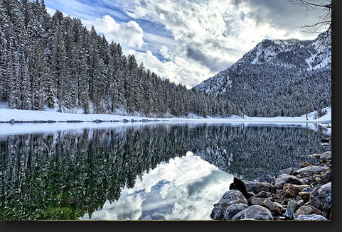 Tibble Fork