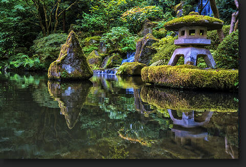 Japanese Koi Pond