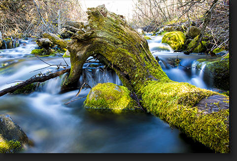 Mossy Stream