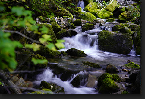 Alpine Stream