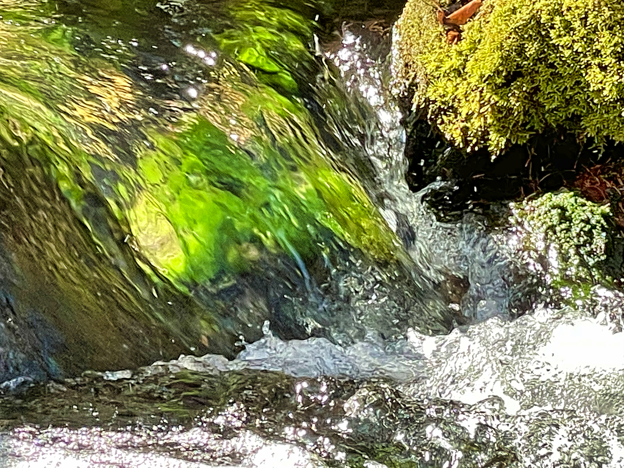 Mossy Sundance Stream
