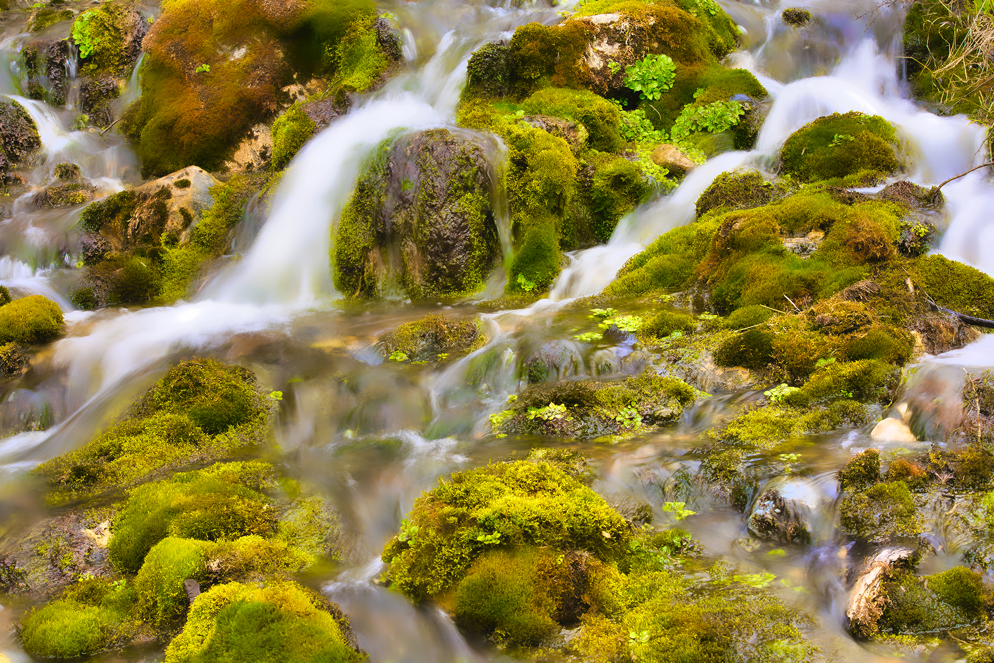 Mossy Tibble Fork Falls by Skip Weeks