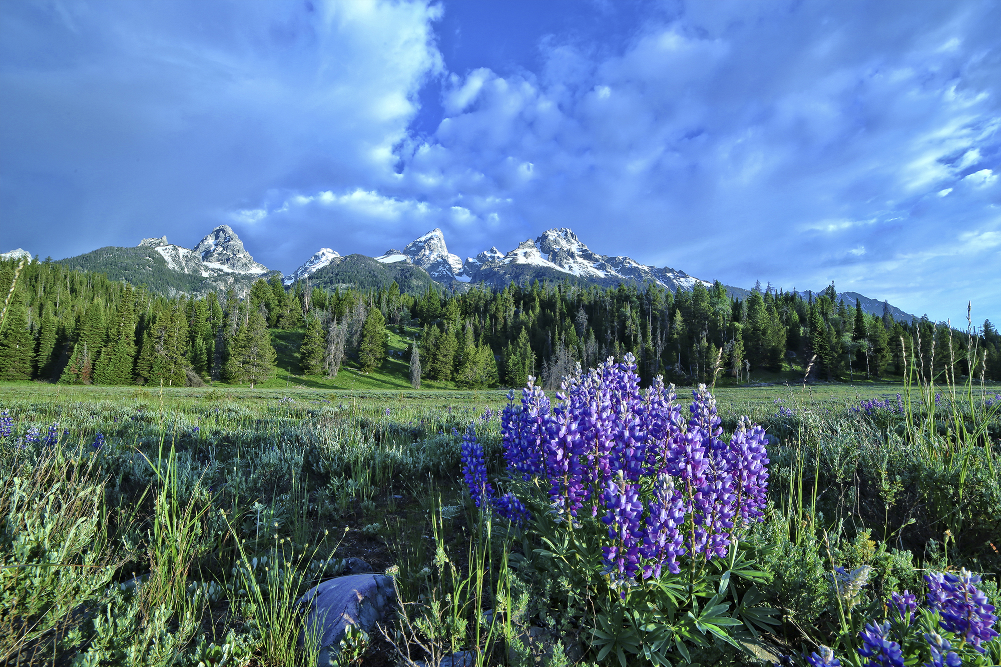 Grand Tetons